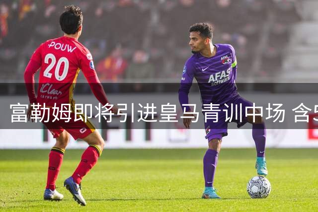 富勒姆即将引进皇马青训中场 含50%未来转会分成