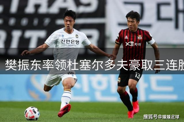 樊振东率领杜塞尔多夫豪取三连胜 德甲赛场强势领跑